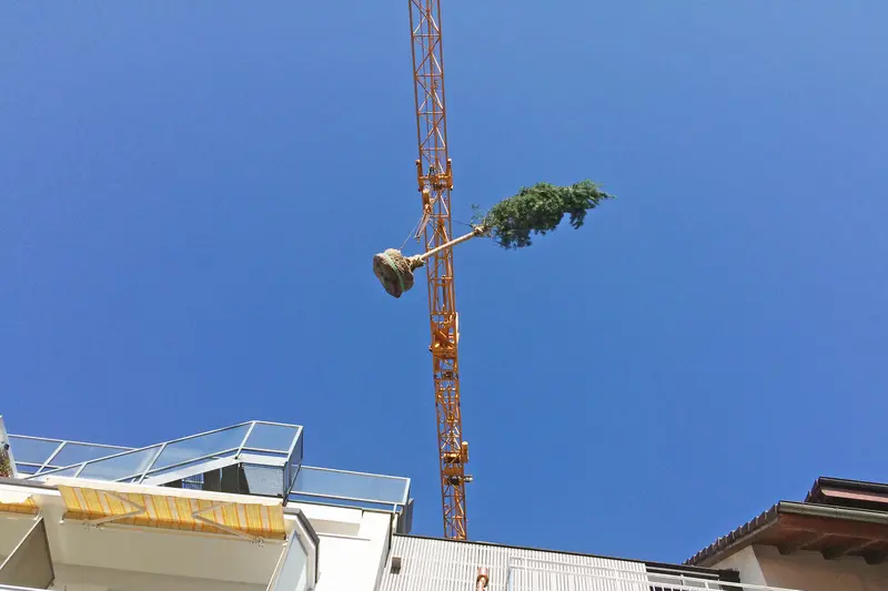 Garten-Bepflanzung_jangarten_baum-kran_muri-guemligen