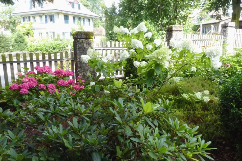 Garten-Bepflanzung_jangarten_blumen-natur_muri-bern