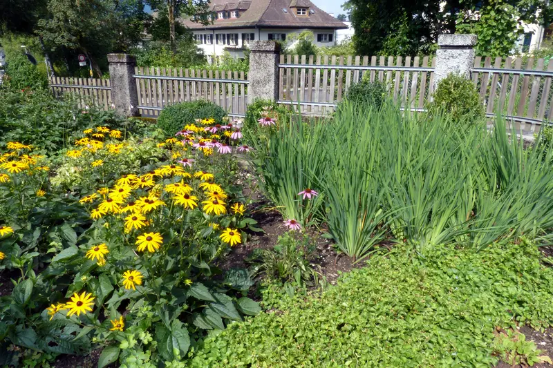 Garten-Bepflanzung_jangarten_calendula-blumenbeete_muri-bern