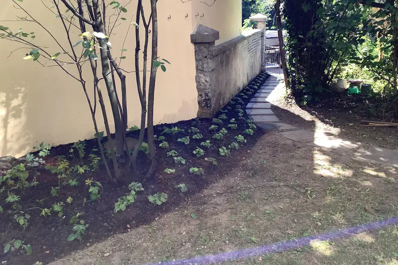 Garten-Bepflanzung_jangarten_gemuesegarten