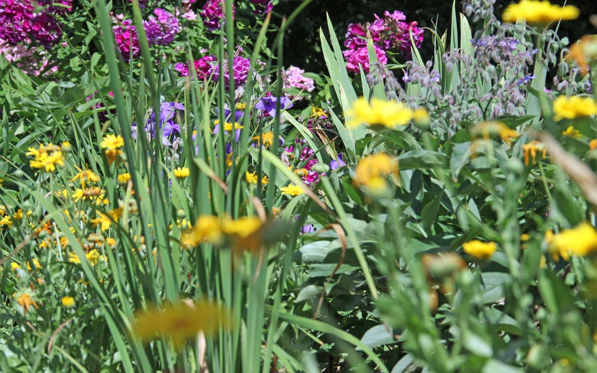 Garten-Bepflanzung_jangarten_muri-bern