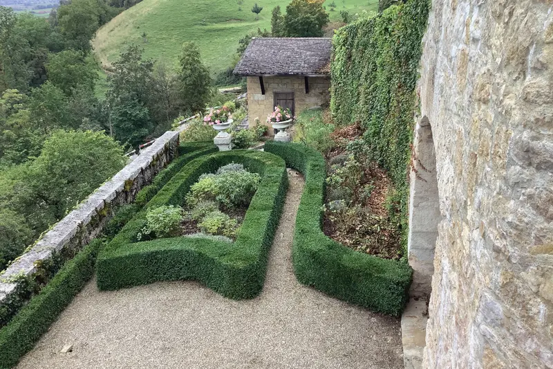 garten-pflege_jangarten_burggarten-pflege-buchsbestand_oberaargau