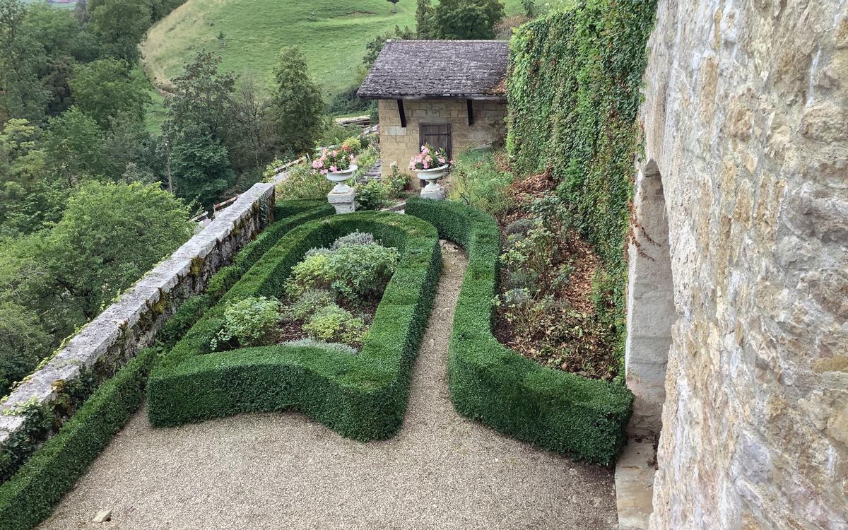 garten-pflege_jangarten_burggarten-pflege-buchsbestand_oberaargau