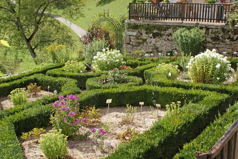 garten-pflege_jangarten_erhalt-buchs-schlossgarten_wiedlisbach