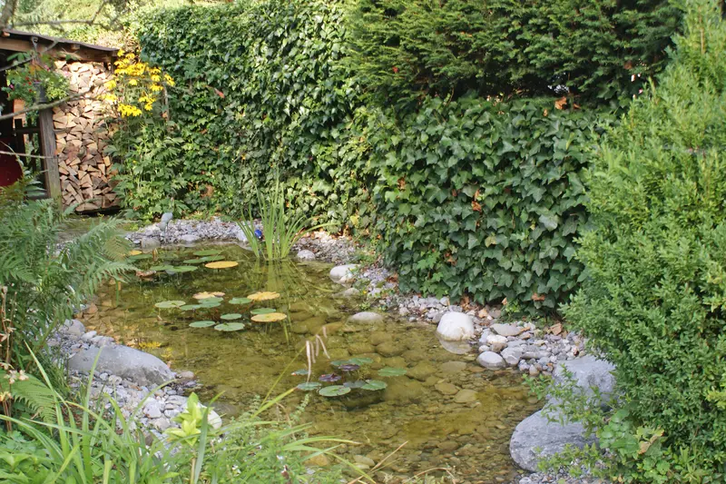gartenbau_jangarten_garten-biotop-biodiversitaet_muri-guemligen