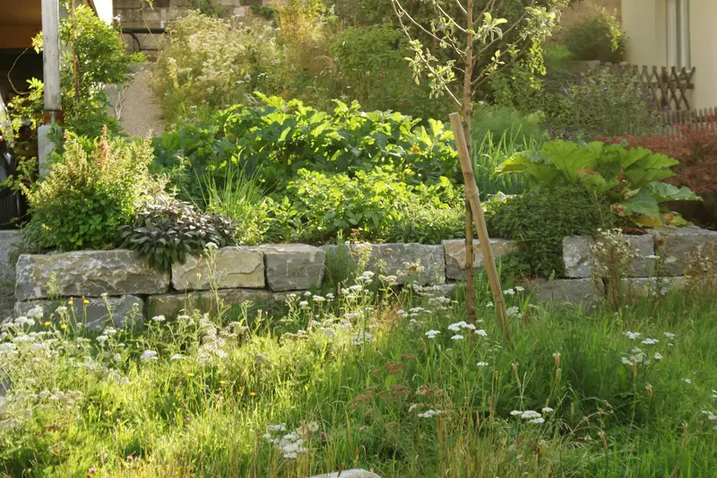 gartenbau_jangarten_magerwiese-biodiversitaet-ueberbauung_region-bern
