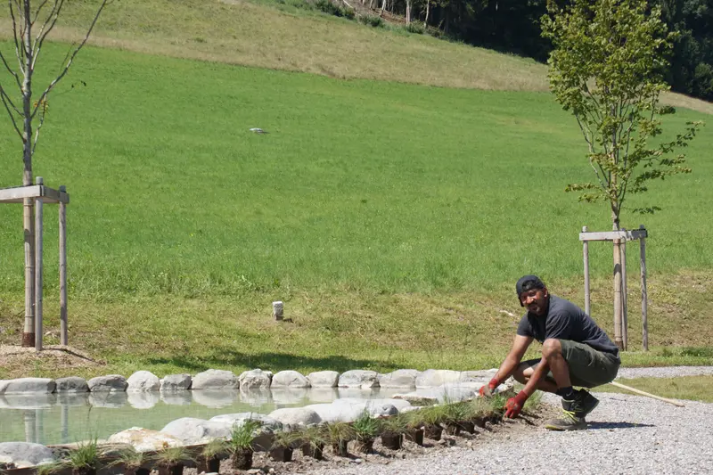gartenbau_jangarten_teich-anlage_muri-guemligen
