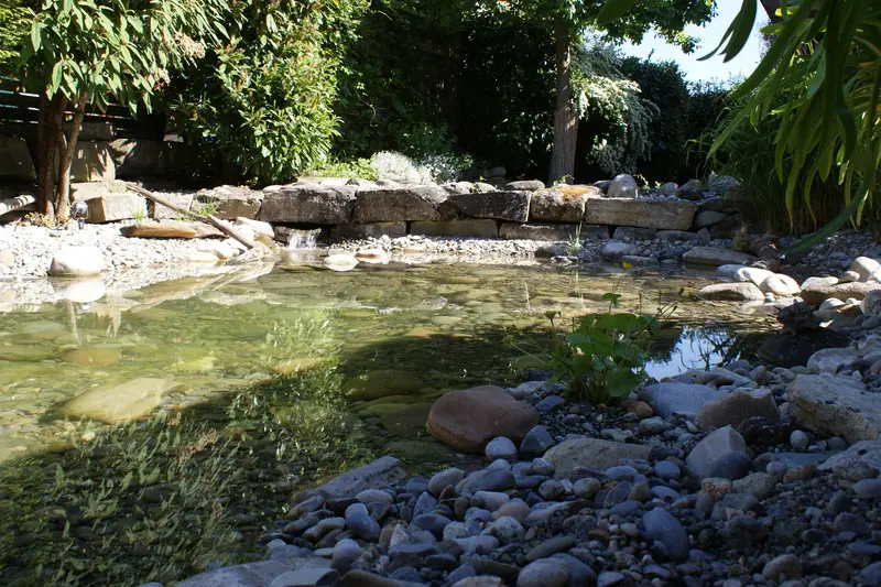 gartenbau_jangarten_teich-gartenparadies_bern