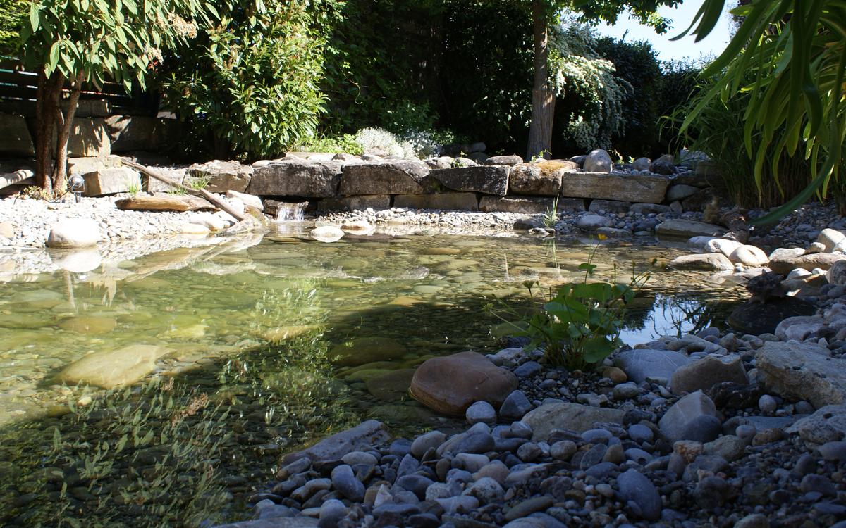 gartenbau_jangarten_teich-gartenparadies_bern