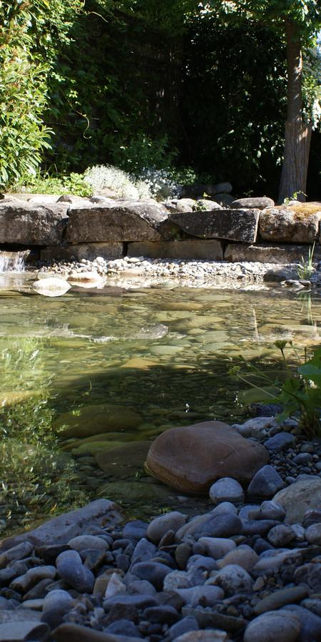 gartenbau_jangarten_teich-gartenparadies_bern