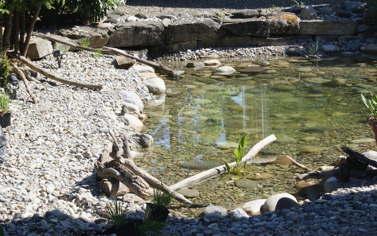 gartenbau_jangarten_teich-treibholz-naturgarten_muri-bern
