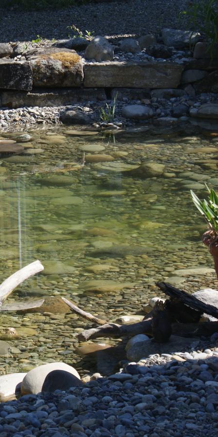 gartenbau_jangarten_teich-treibholz-naturgarten_muri-bern