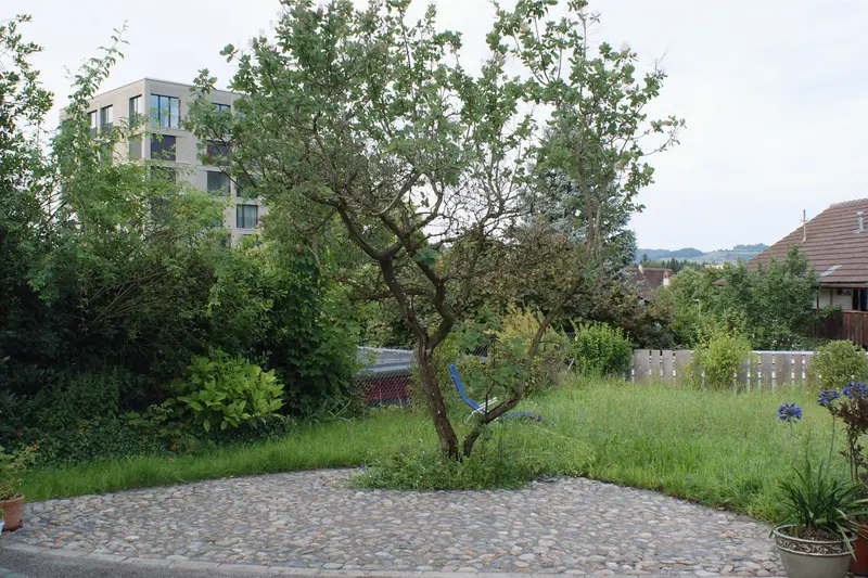 traditionshandwerk_jangarten_pflaesterung-garten_muri-bern